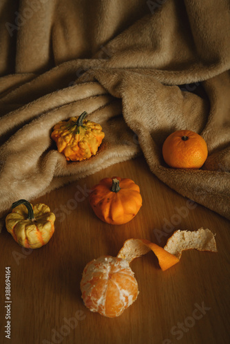 autumn still life with tangerine and little pumpkins in the background