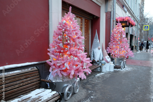 New Year's, Christmas decoration of 