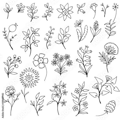 Fototapeta Naklejka Na Ścianę i Meble -  Set of simple doodles of flowers and branches