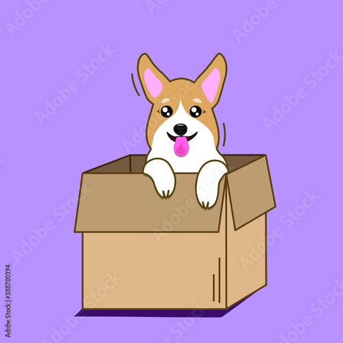 Corgi dog happily looking out of a cardboard box. Vector image in eps format.