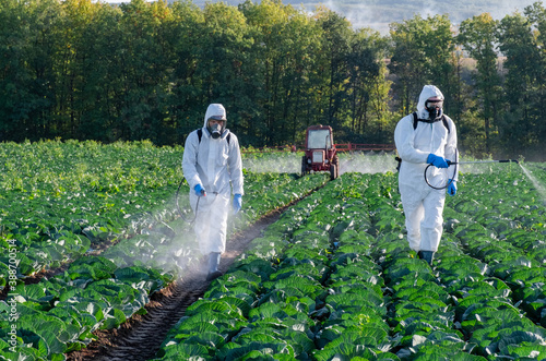 farmer spraying pesticide field mask harvest protective chemical photo