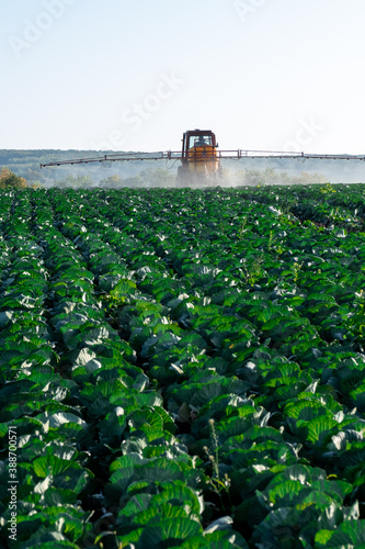 pesticide sprayer tractor field farmer vegetables cabbage harvest greens