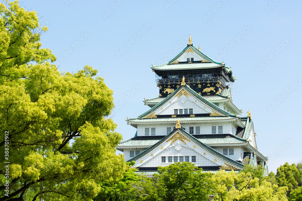 新緑の大阪城天守閣