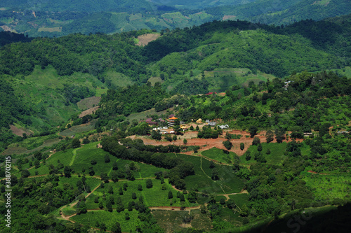 Beautiful landscape Tea Plantation scenic on highland. Doi Mae Salong  Chiang Rai  Thailand.
