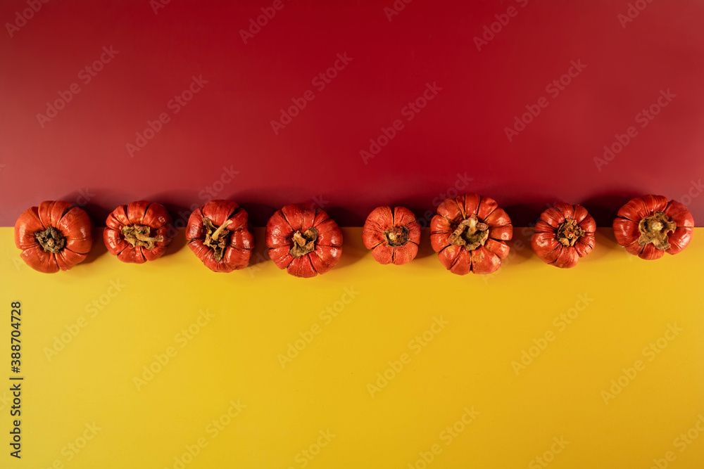 Line of little pumpkins over yellow and red background