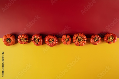 Line of little pumpkins over yellow and red background