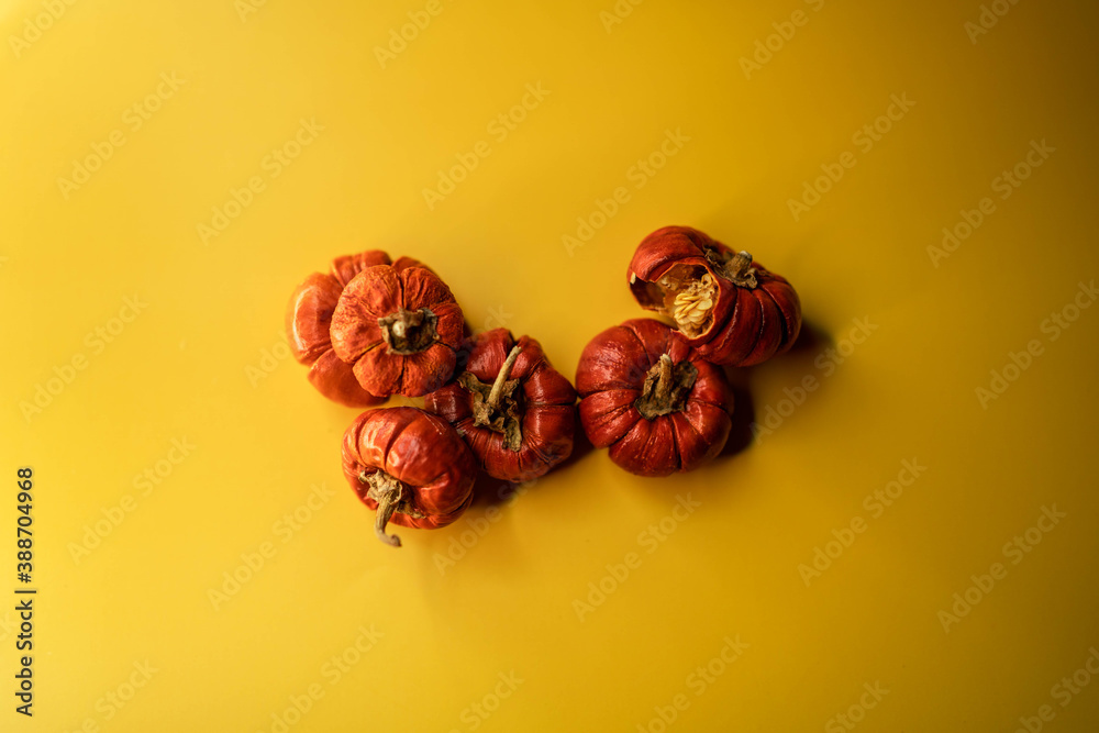 Little pumpkins over yellow background