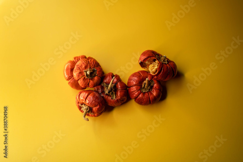 Obraz na płótnie Little pumpkins over yellow background w salonie