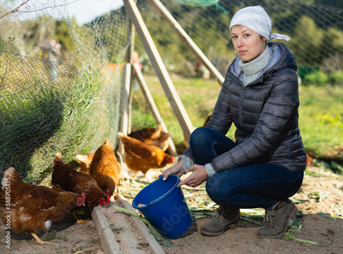 Smiling woman feeding domestic chickens while working in henhouse on sunny spring day photo