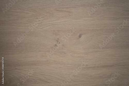 Tekstura drewna tło 