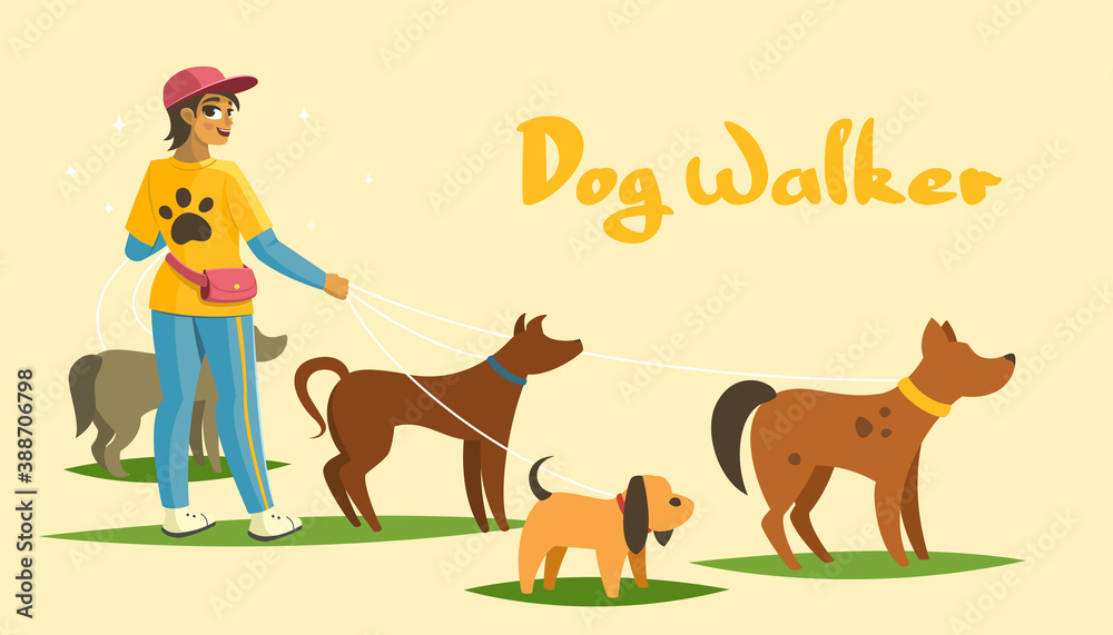 Dog walking services banner, person and animals vector illustration