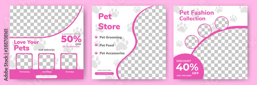 Set of editable square banner templates. Pet care and pet shop social media post template design with photo collage. Usable for social media post, story and web internet ads.