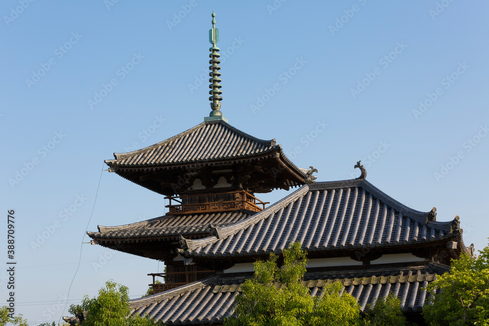 法起寺の三重塔と講堂 法起寺の三重塔と講堂