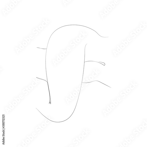 SINGLE-LINE DRAWING OF A WOMAN,Female 7. This hand-drawn, continuous, line illustration is part of a collection artworks inspired by the drawings of Picasso. Each gesture sketch was created by hand. 
