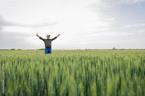 Senior farmer standing in wheat field with his arms outstretched during the day.