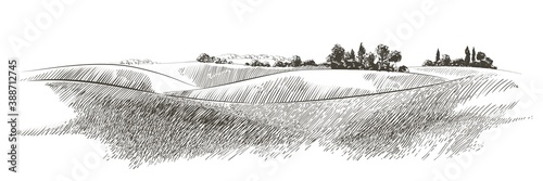 Vector sketch Green grass field on small hills. Meadow, alkali, lye, grassland, pommel, lea, pasturage, farm. Rural scenery landscape panorama of countryside pastures. illustration