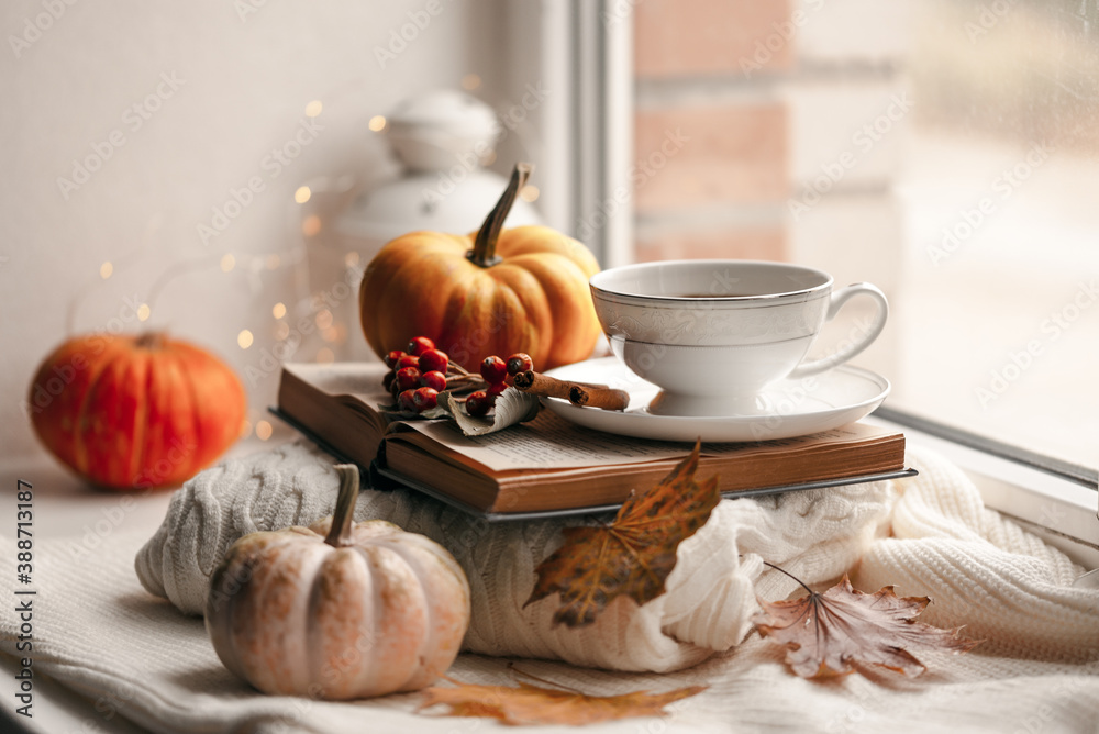 Still life of knitted woolen items, a cup of coffee and pumpkin. Dry leaves. Thanksgiving Day. Book. Morning. Fall. The concept of a cozy home holiday. Still life of knitted woolen items, a cup of coffee and pumpkin. Dry leaves. Thanksgiving Day. Book. Morning. Fall. The concept of a cozy home holiday.