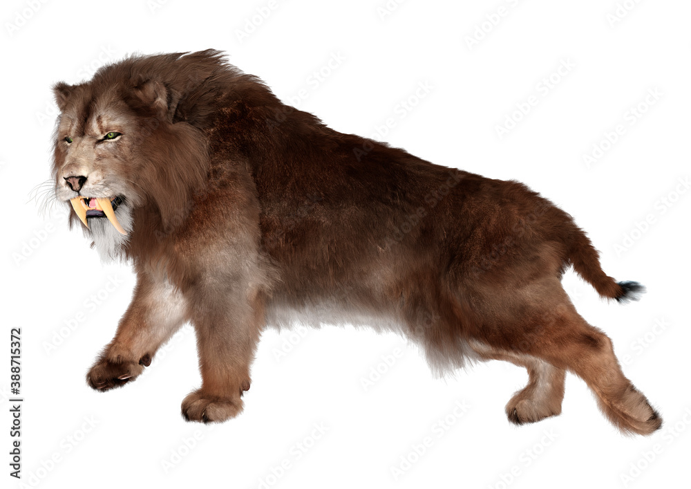 Obraz premium 3D Rendering Sabertooth Tiger on White