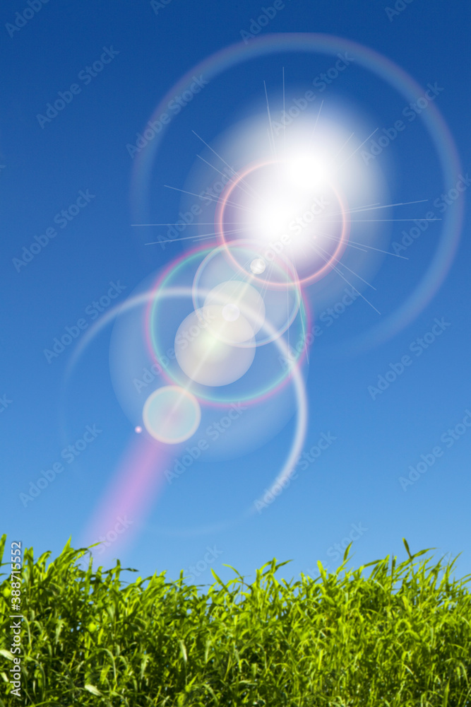 太陽光 太陽光