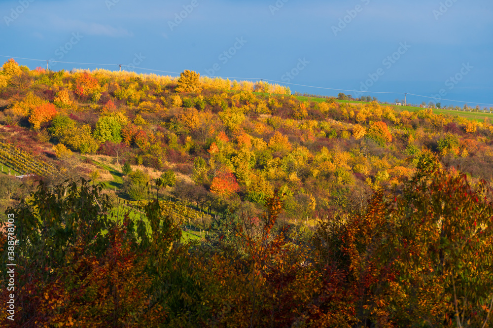 Barevný podzim na Slovácku