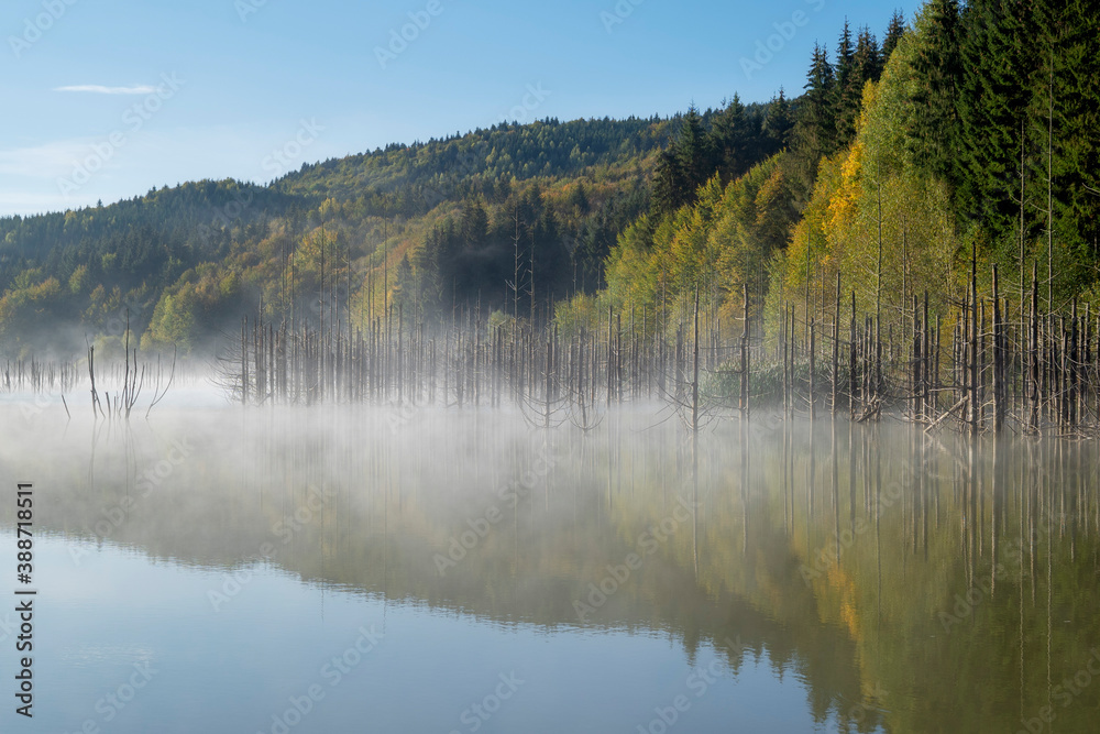 Misty lake morning in Romania - the naturally formed Cuejdel Lake.