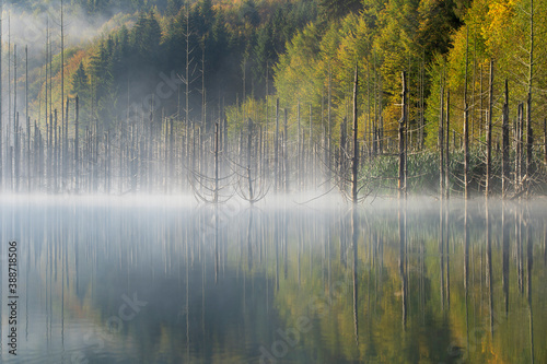 Beautiful morning fog and light over Cuejdel Lake, Romania 