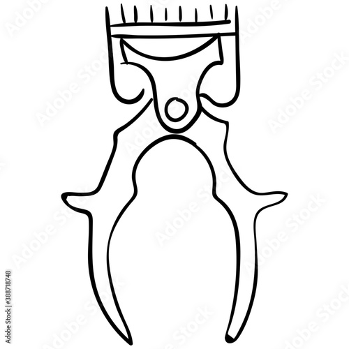 Hair Removal 