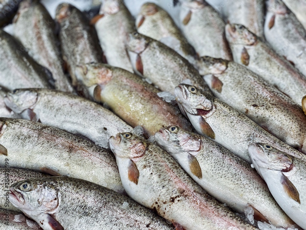 trout fresh fish for food patterns trout fresh fish for food patterns