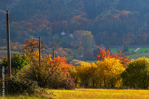 Barevný podzim na Slovácku photo