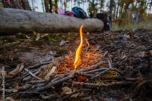 Young campfire in forest outdoor camping.