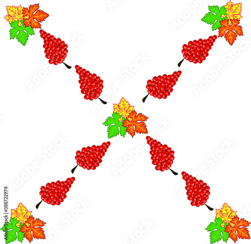 red grape tassel pattern that makes up the frame, lines, square on a white background isolated 
