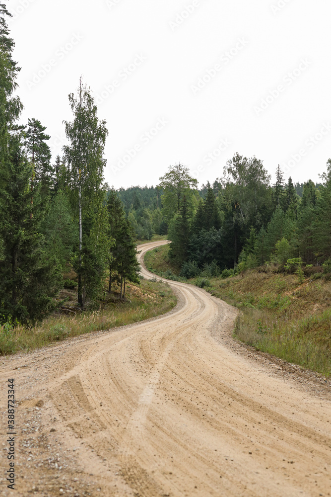 Old gravel pit road through pine tree forest. Old gravel pit road through pine tree forest.