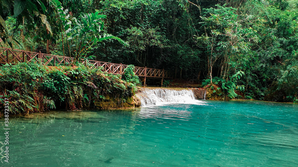 Naklejka premium waterfall in the forest