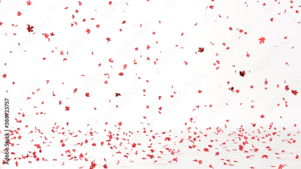 Red Maple Leaves falling on white background with selective focus. 3D Rendering. Christmas Minimal Concept Idea.