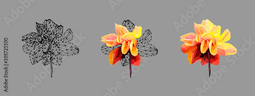 Vector set of yellow flower isolated on grey background. Bright sunny summer detailed and accurate design in low poly style. Floral design element.