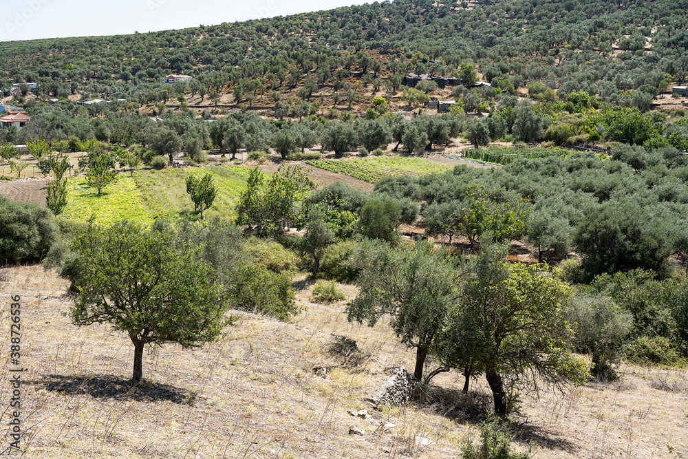 Landschaft beim Flüchtlingslager Moria, Insel Lesbos, Griechenland