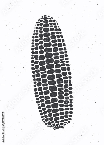 Silhouette of maize or corn cob without leaves. Vector illustration. Vegetable menu ingredient. Healthy vegetarian food. Clipart for packaging, label, menu or showcase. Isolated on white background