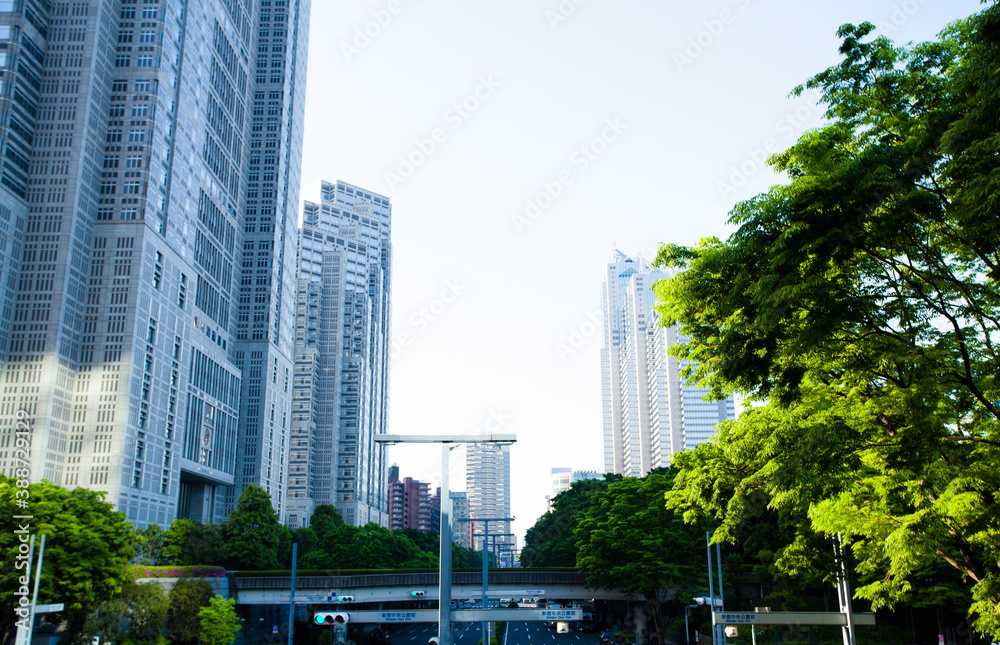 Fototapeta premium 新宿