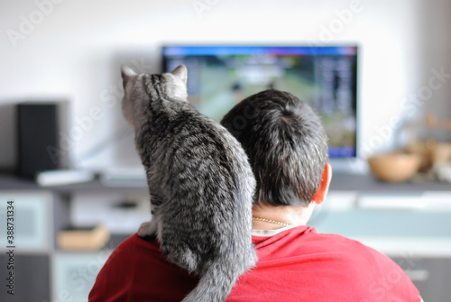 Kitten sits on the shoulder of a male gamer