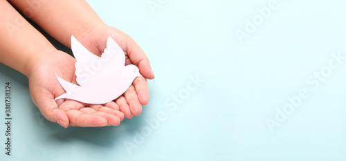 hands holding paper white bird, world peace day concept. photo