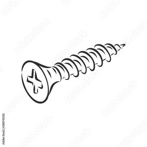 screws, nails isolated on a white background. Vector illustration, metal screw vector sketch illustration