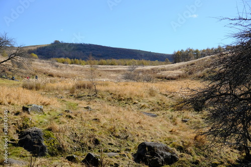 Wallpaper Mural どこまでも広がる野原 Torontodigital.ca