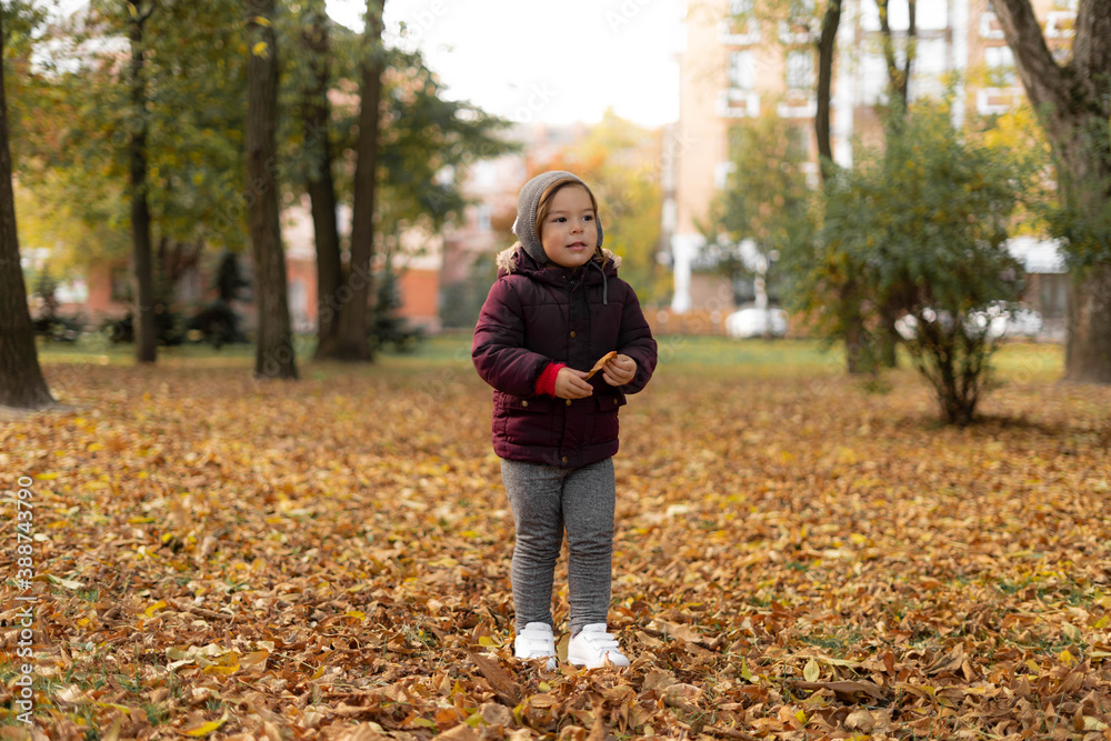Happy toddler child plays with yellow leaves on sunny autumn day Happy toddler child plays with yellow leaves on sunny autumn day