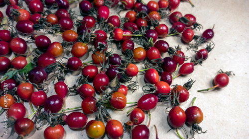 Obraz na płótnie photo of rose hips. red rose hips scattered on craft paper w salonie