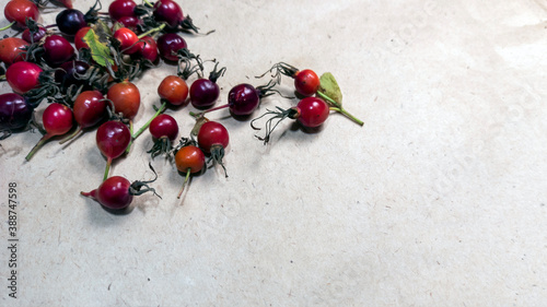 Obraz na płótnie photo of rose hips. red rose hips scattered on craft paper w salonie
