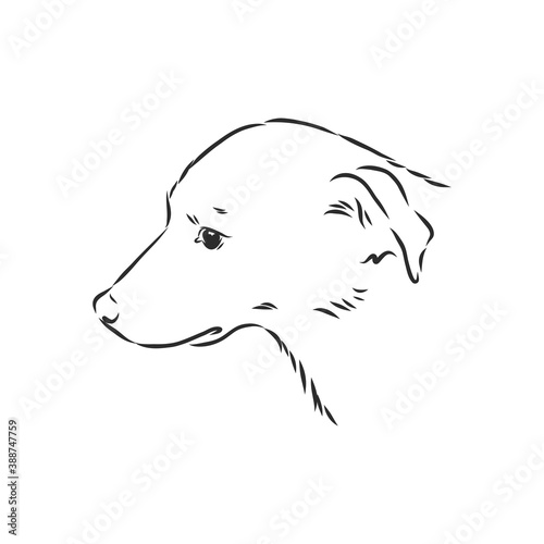 Silhouette simple head dog. Vector illustration. portrait of a dog, vector sketch illustration