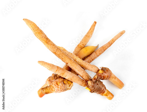 finger root or Chinese's Ginger isolated on the white background.