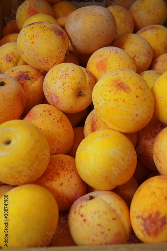 Alabaster fruit in Volterra  Tuscany  Italy