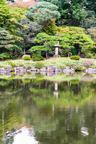 日本庭園 秋 紅葉 松 
