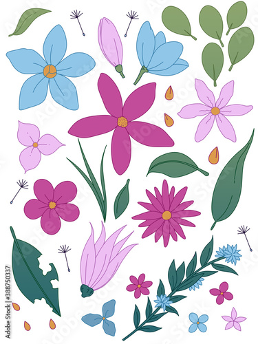collection of simple flowers with flat flowers and color line